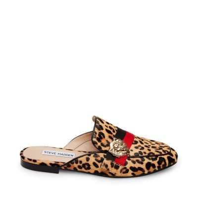 KARISMA LEOPARD – SM REBOOTED