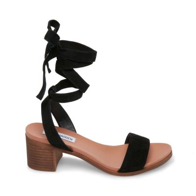 ADRIANNE BLACK SUEDE – SM REBOOTED